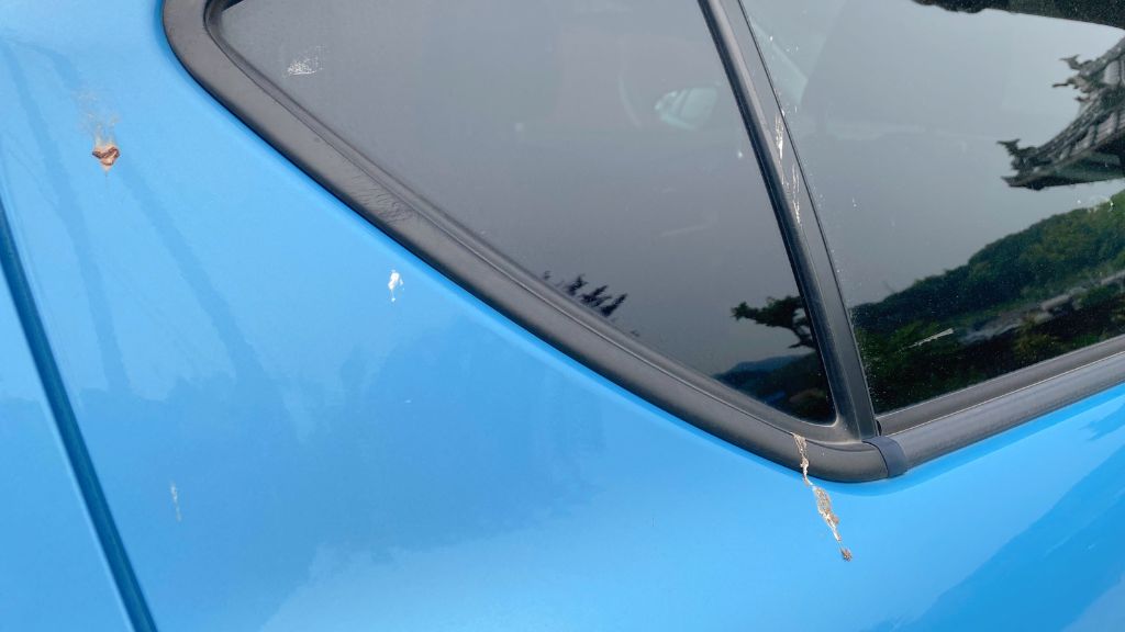 鳥の糞や虫など、固着した汚れが浮いてくれるから