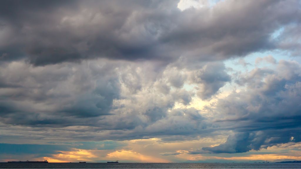 ポイント（1）曇りの日・気温が低い日に行う