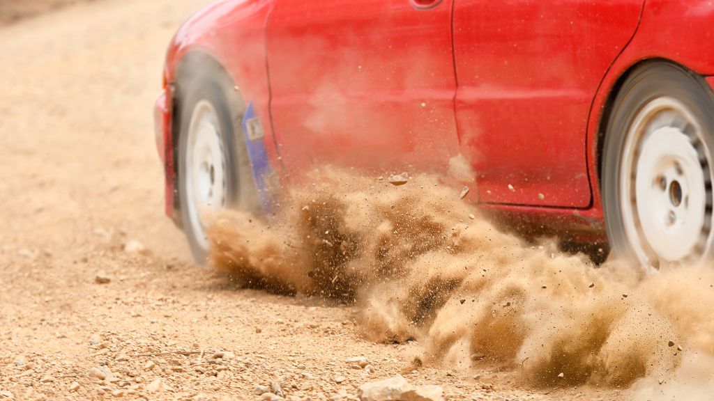 乾燥による土ぼこりが付着する