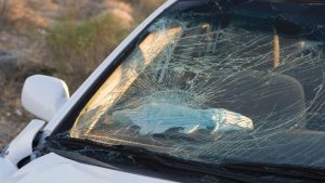 「飛び石によるヒビ!車検に通る?」疑問に回答│修理の方法や注意点も解説