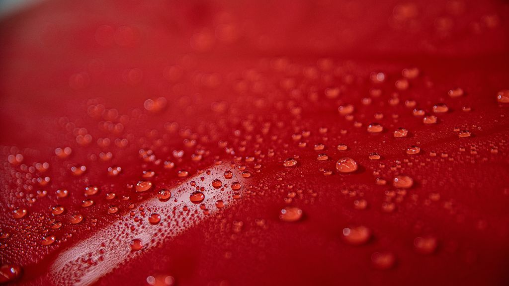 雨のあとの固着にも注意